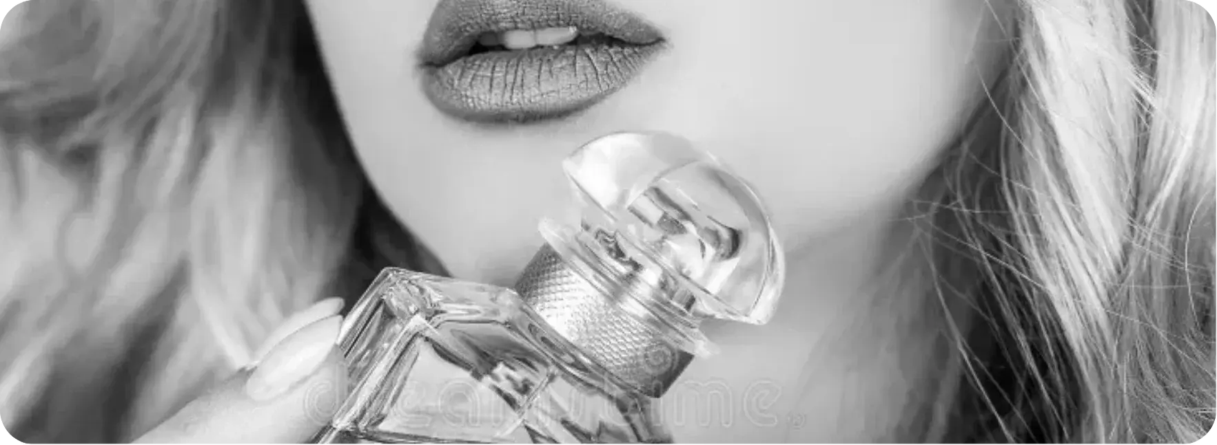 Doce e Divertida Guimarães Importados