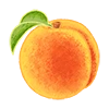 Pera