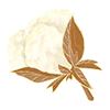 Almíscar branco