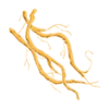 Vetiver