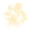Ylang-ylang